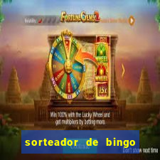 sorteador de bingo 90 bolas online